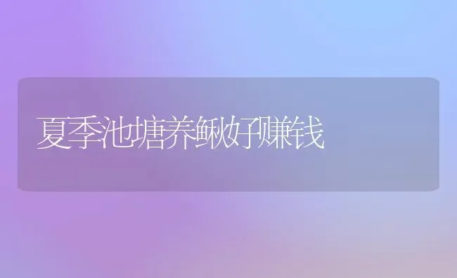 夏季池塘养鳅好赚钱 | 养殖技术大全