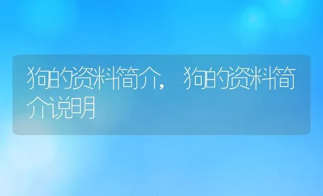 狗的资料简介,狗的资料简介说明 | 养殖资料