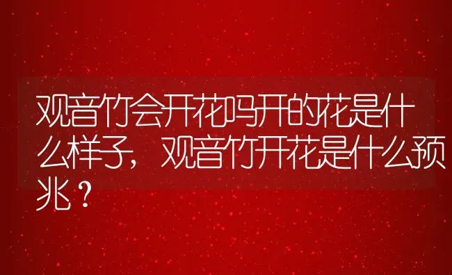 观音竹会开花吗开的花是什么样子,观音竹开花是什么预兆？ | 养殖科普