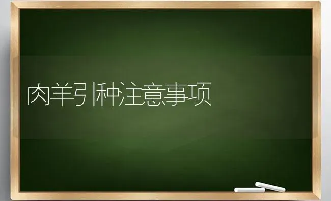 花卉怕灼伤盛夏防阳光 | 养殖技术大全