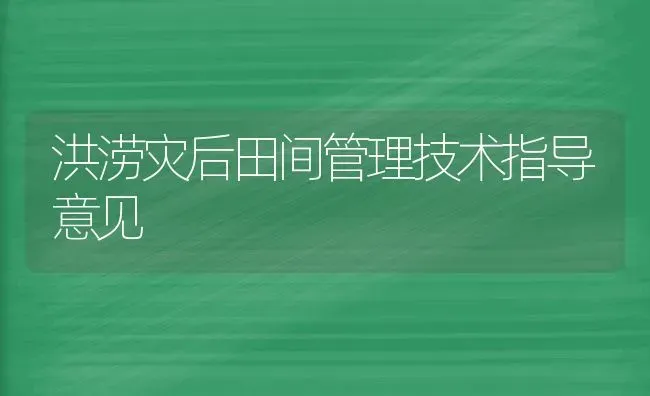 洪涝灾后田间管理技术指导意见 | 养殖技术大全