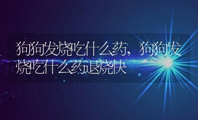 狗狗发烧吃什么药,狗狗发烧吃什么药退烧快 | 养殖科普