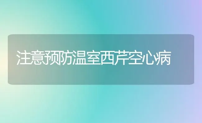 注意预防温室西芹空心病 | 养殖技术大全