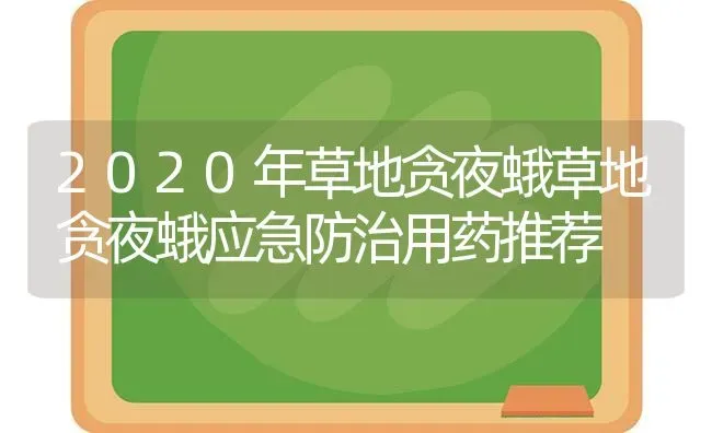 大蒜高产肥水管理技术 | 养殖技术大全