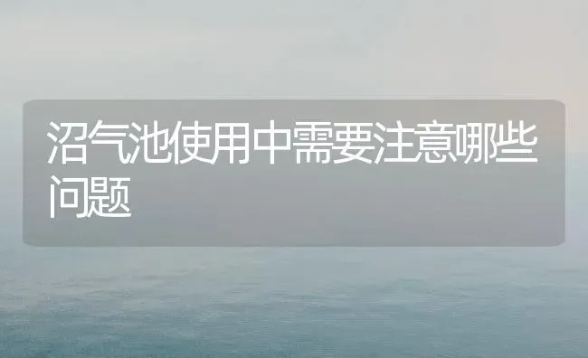 沼气池使用中需要注意哪些问题 | 养殖知识