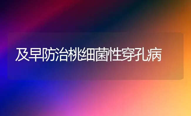 及早防治桃细菌性穿孔病 | 养殖技术大全