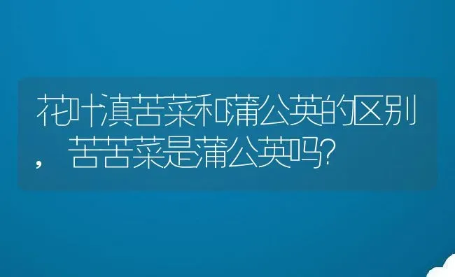 花叶滇苦菜和蒲公英的区别,苦苦菜是蒲公英吗？ | 养殖科普