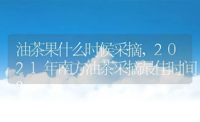 油茶果什么时候采摘,2021年南方油茶采摘最佳时间？ | 养殖科普