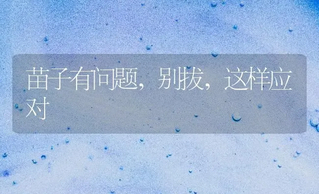 苗子有问题,别拔,这样应对 | 养殖技术大全