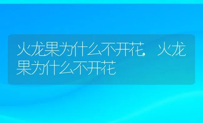 火龙果为什么不开花,火龙果为什么不开花 | 养殖科普