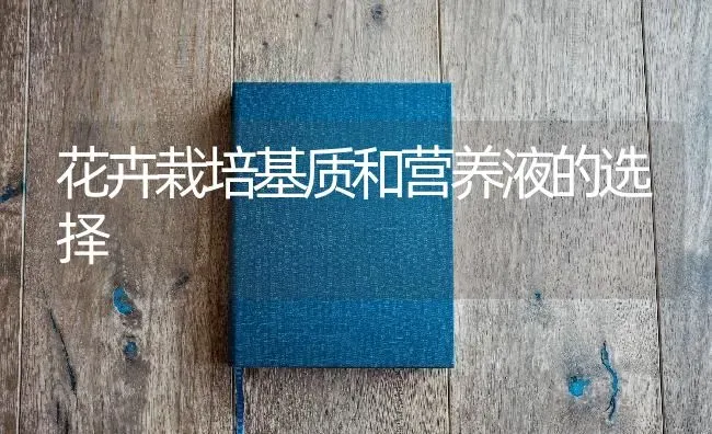 花卉栽培基质和营养液的选择 | 养殖技术大全