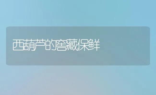 西葫芦的窖藏保鲜 | 养殖知识