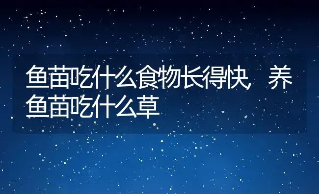 鱼苗吃什么食物长得快,养鱼苗吃什么草 | 养殖学堂