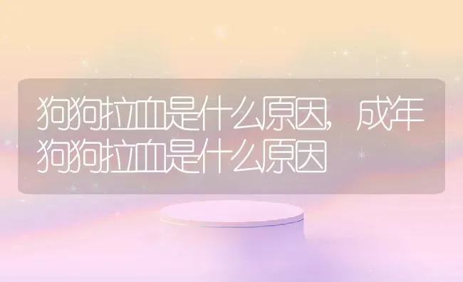 狗狗拉血是什么原因,成年狗狗拉血是什么原因 | 养殖科普
