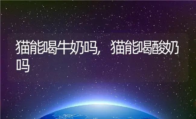 猫能喝牛奶吗,猫能喝酸奶吗 | 养殖资料