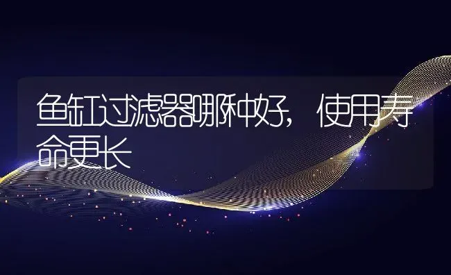 鱼缸过滤器哪种好,使用寿命更长 | 养殖科普