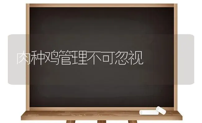 如何挑选大蒜种子 | 养殖技术大全