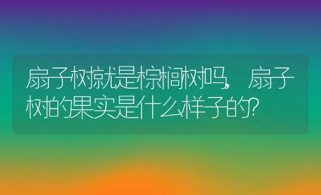 扇子树就是棕榈树吗,扇子树的果实是什么样子的？ | 养殖科普