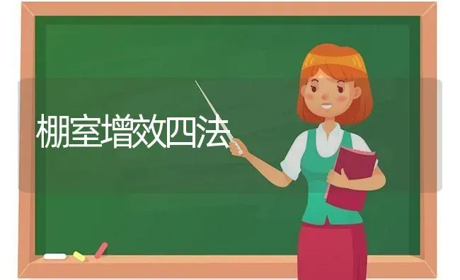 棚室增效四法 | 养殖知识