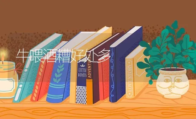 牛喂酒糟好处多 | 养殖知识