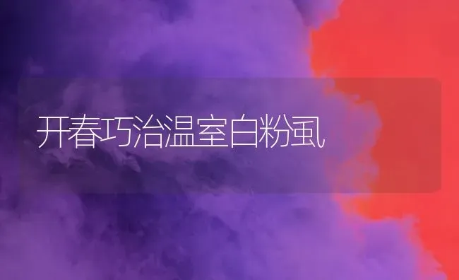 开春巧治温室白粉虱 | 养殖技术大全