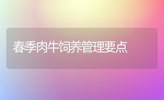 春季肉牛饲养管理要点 | 养殖技术大全