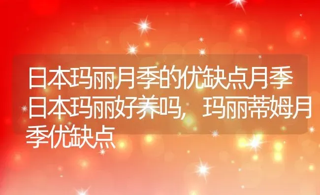 日本玛丽月季的优缺点月季日本玛丽好养吗,玛丽蒂姆月季优缺点 | 养殖学堂