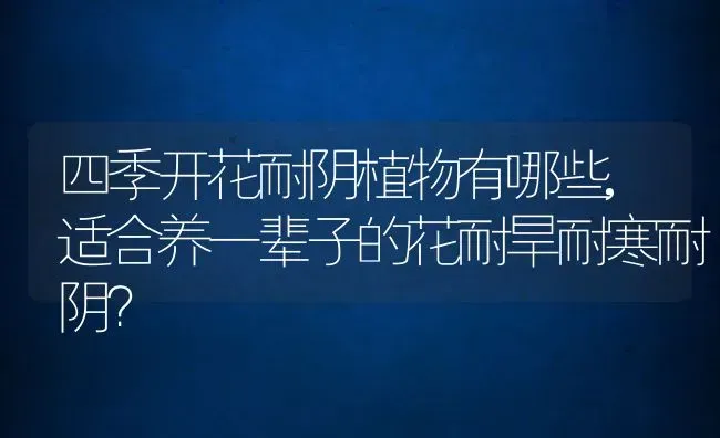 四季开花耐阴植物有哪些,适合养一辈子的花耐旱耐寒耐阴？ | 养殖科普