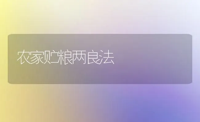 农家贮粮两良法 | 养殖技术大全