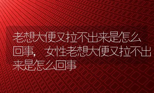 老想大便又拉不出来是怎么回事,女性老想大便又拉不出来是怎么回事 | 养殖科普