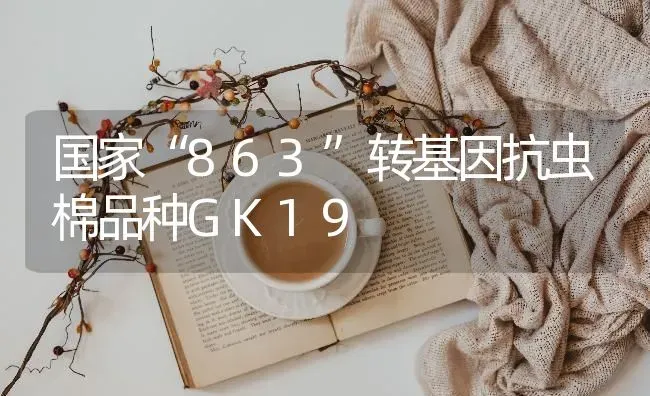 国家“863”转基因抗虫棉品种GK19 | 养殖技术大全