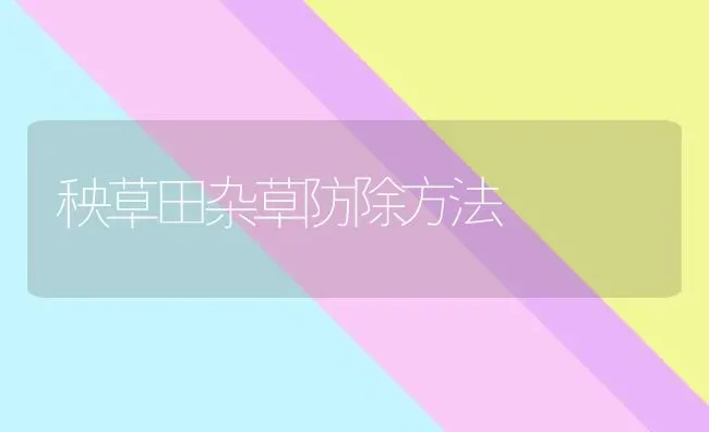 秧草田杂草防除方法 | 养殖知识