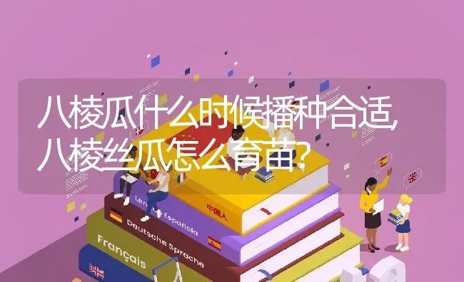 八棱瓜什么时候播种合适,八棱丝瓜怎么育苗？ | 养殖科普