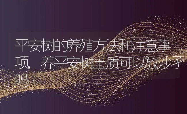 宠物狗狗可以吃橘子吗,边牧可以吃橘皮吗 | 养殖学堂