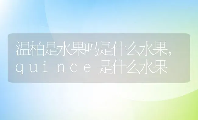 温柏是水果吗是什么水果,quince是什么水果 | 养殖学堂