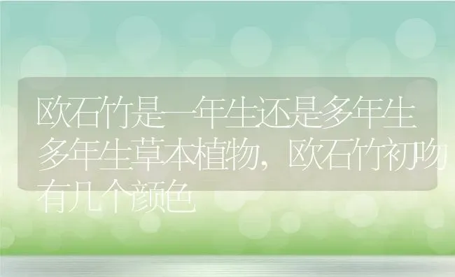 欧石竹是一年生还是多年生多年生草本植物,欧石竹初吻有几个颜色 | 养殖学堂