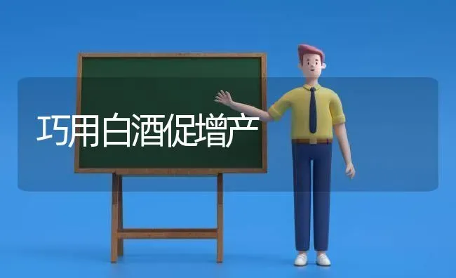 巧用白酒促增产 | 养殖知识