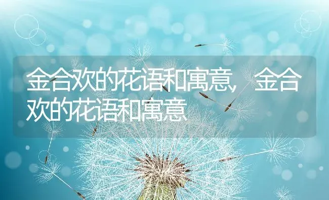 金合欢的花语和寓意,金合欢的花语和寓意 | 养殖科普