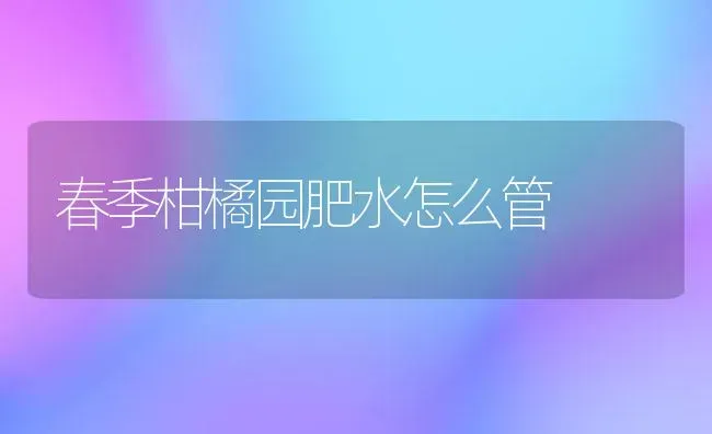 春季柑橘园肥水怎么管 | 养殖技术大全