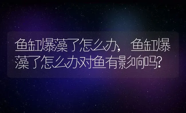 鱼缸爆藻了怎么办,鱼缸爆藻了怎么办对鱼有影响吗? | 养殖科普