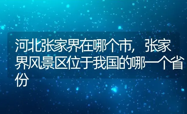 河北张家界在哪个市,张家界风景区位于我国的哪一个省份 | 养殖学堂