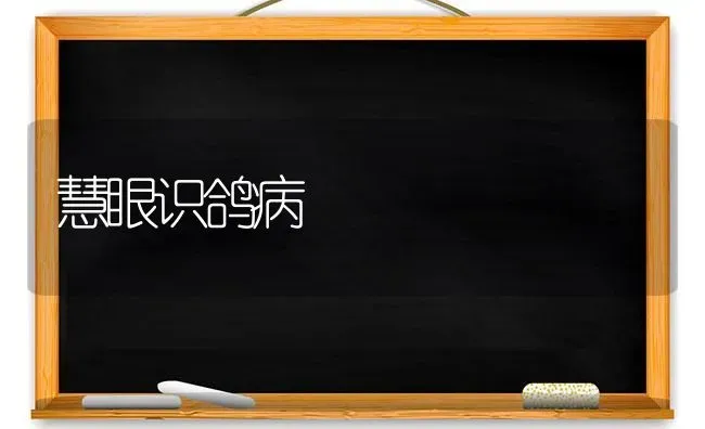 慧眼识鸽病 | 养殖知识