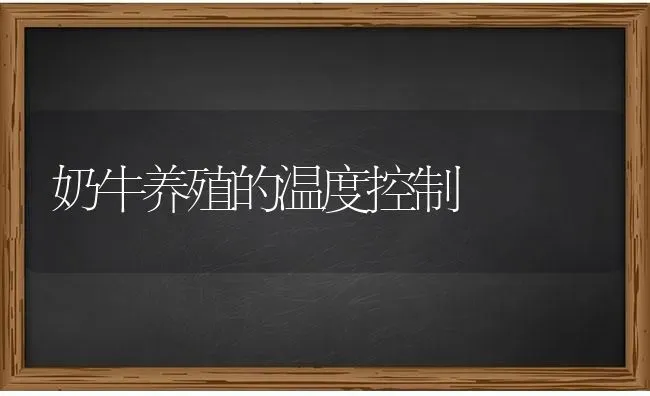 奶牛养殖的温度控制 | 养殖知识