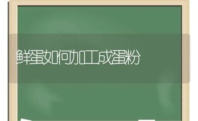 鲜蛋如何加工成蛋粉 | 养殖技术大全