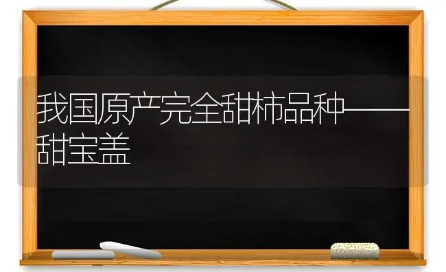 我国原产完全甜柿品种——甜宝盖 | 养殖知识