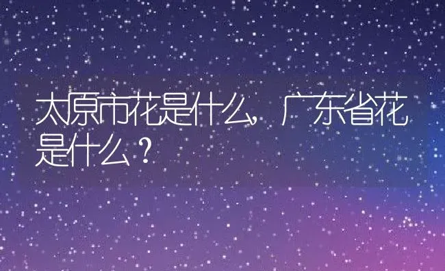 太原市花是什么,广东省花是什么？ | 养殖科普