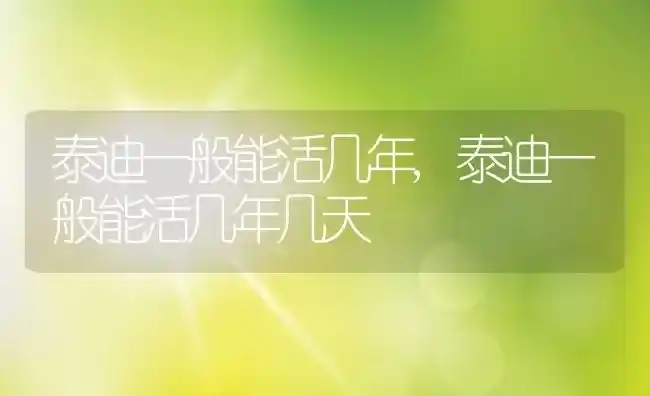 泰迪一般能活几年,泰迪一般能活几年几天 | 养殖学堂