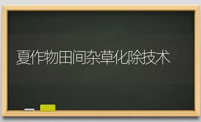 夏作物田间杂草化除技术 | 养殖技术大全