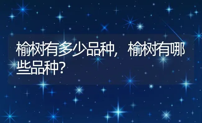 榆树有多少品种,榆树有哪些品种？ | 养殖科普