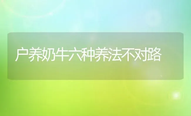 户养奶牛六种养法不对路 | 养殖知识